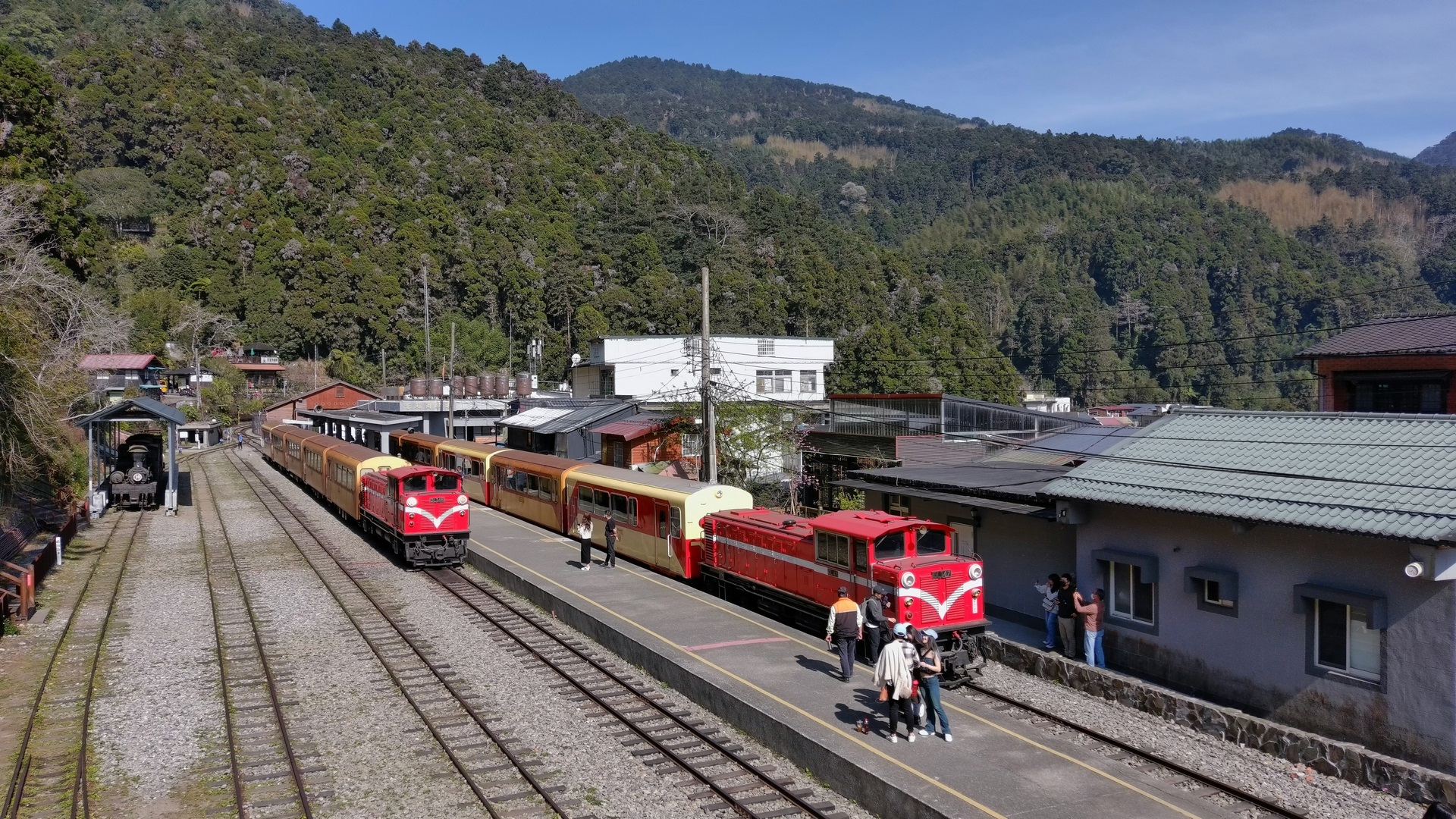 阿里山神木・祝山日出・二延平二日景點參考照片 2